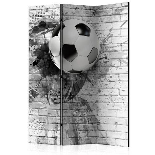 Paraván egyoldalú fotónyomtatással - Dynamic Football [Room Dividers] - ajandekpont.hu