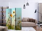 Paraván - Daisies - spring meadow [Room Dividers] - ajandekpont.hu