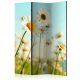 Paraván egyoldalú fotónyomtatással - Daisies - spring meadow [Room Dividers] - ajandekpont.hu