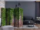 Paraván egyoldalú fotónyomtatással - Brick and ivy II [Room Dividers] - ajandekpont.hu