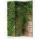 Paraván egyoldalú fotónyomtatással - Ivy wall [Room Dividers] - ajandekpont.hu