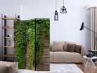 Paraván egyoldalú fotónyomtatással - Ivy wall [Room Dividers] - ajandekpont.hu