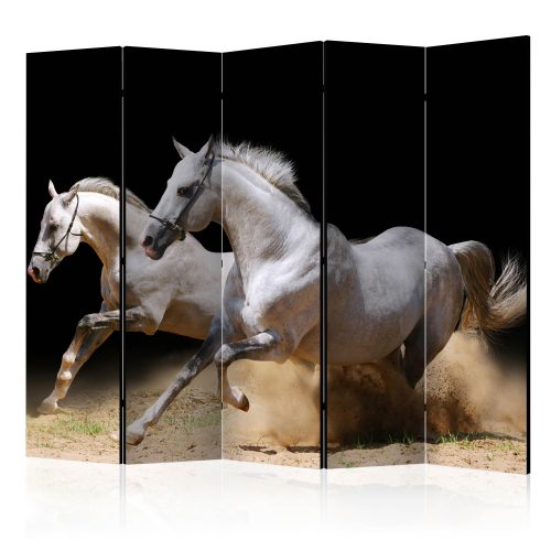 Paraván - Galloping horses on the sand II [Room Dividers] - ajandekpont.hu