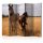 Paraván - Horse and foal II [Room Dividers] - ajandekpont.hu