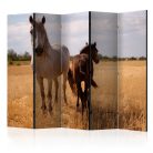 Paraván egyoldalú fotónyomtatással - Horse and foal II [Room Dividers] - ajandekpont.hu