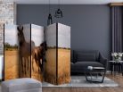 Paraván egyoldalú fotónyomtatással - Horse and foal II [Room Dividers] - ajandekpont.hu