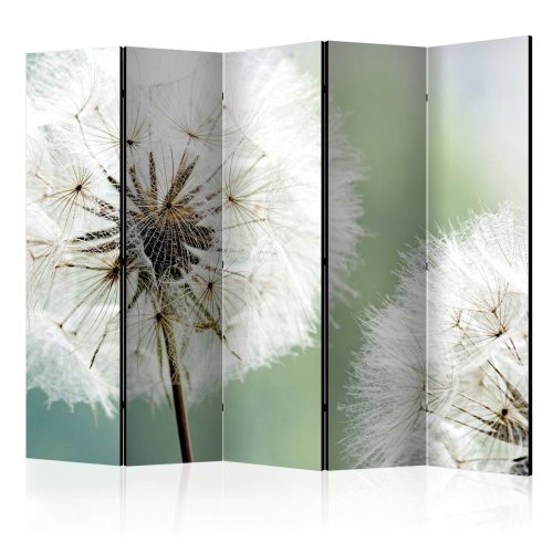 Paraván egyoldalú fotónyomtatással - Two dandelions II [Room Dividers] - ajandekpont.hu