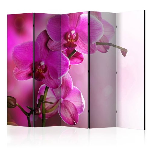 Paraván egyoldalú fotónyomtatással - Pink orchid II [Room Dividers] - ajandekpont.hu