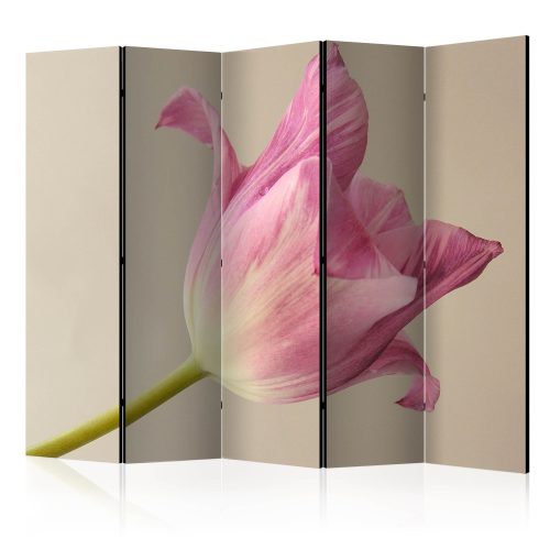 Paraván - Pink tulip II [Room Dividers] - ajandekpont.hu