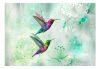 Fotótapéta - Colourful Hummingbirds (Green) - ajandekpont.hu