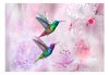 Öntapadós fotótapéta - Colourful Hummingbirds (Purple) - ajandekpont.hu