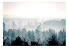 Öntapadós fotótapéta - Winter Forest - ajandekpont.hu