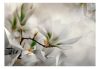 Fotótapéta - Subtle Magnolias - Second Variant - ajandekpont.hu