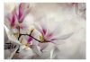 Fotótapéta - Subtle Magnolias - Third Variant - ajandekpont.hu