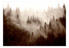 Fotótapéta - Mountain Forest (Sepia) - ajandekpont.hu