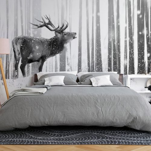 Fotótapéta - Deer in the Snow (Black and White) - ajandekpont.hu