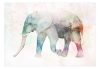 Fotótapéta - Painted Elephant - ajandekpont.hu