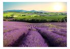 Öntapadós fotótapéta - Lavender Field - ajandekpont.hu