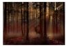Fotótapéta - Mystical Forest - First Variant - ajandekpont.hu