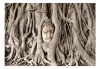 Fotótapéta - Buddha's Tree - ajandekpont.hu