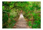 Öntapadós fotótapéta - Bridge amid greenery - ajandekpont.hu