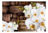 Fotótapéta - Blooming orchids - ajandekpont.hu