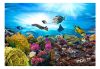 Öntapadós fotótapéta - Coral reef - ajandekpont.hu