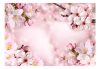 Öntapadós fotótapéta - Spring Cherry Blossom - ajandekpont.hu