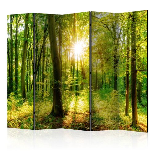 Akusztikus paraván - Forest Rays II [Room Dividers] - ajandekpont.hu