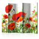 Akusztikus paraván - Country poppies II [Room Dividers] - ajandekpont.hu