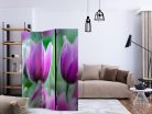 Akusztikus paraván - Purple spring tulips [Room Dividers] - ajandekpont