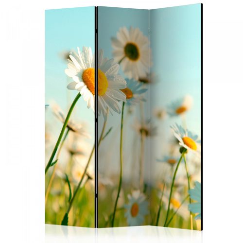 Akusztikus paraván - Daisies - spring meadow [Room Dividers] - ajandekpont