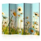 Akusztikus paraván - Daisies - spring meadow II [Room Dividers] - ajandekpont.hu