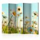 Akusztikus paraván - Daisies - spring meadow II [Room Dividers] - ajandekpont.hu