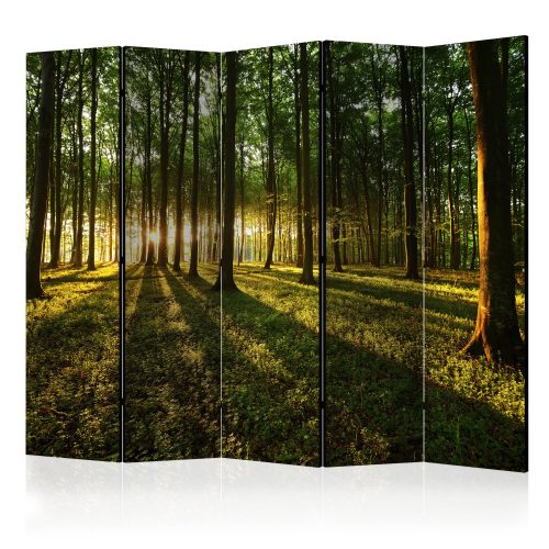 Akusztikus paraván - Morning in the Forest II [Room Dividers] - ajandekpont.hu