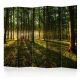 Akusztikus paraván - Morning in the Forest II [Room Dividers] - ajandekpont.hu