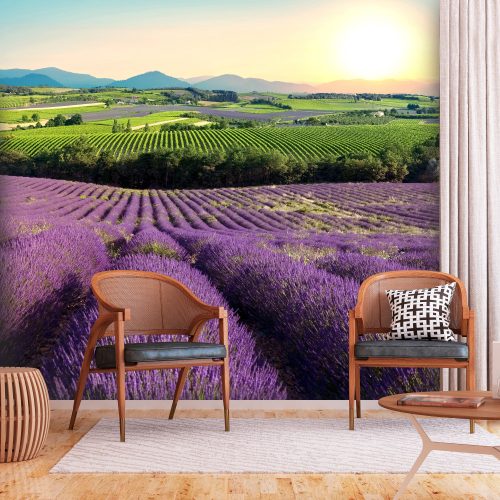 Prémium fotótapéta - Lavender Field - ajandekpont.hu