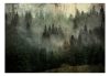 Fotótapéta - Misty Beauty of the Forest - ajandekpont.hu