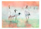 Öntapadós fotótapéta - Cranes in Pastels - ajandekpont.hu