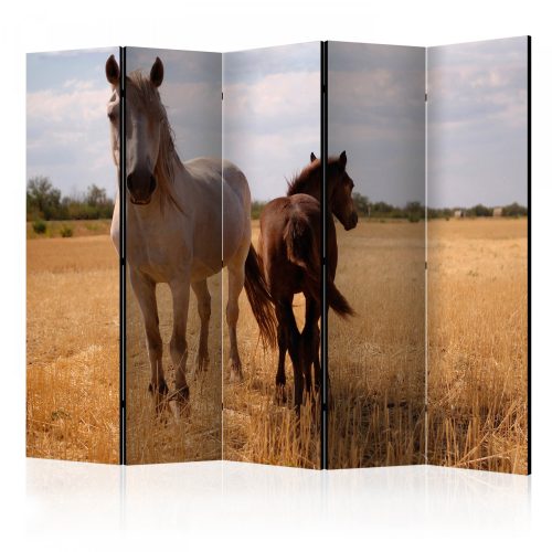 Akusztikus paraván - Horse and foal II [Room Dividers] - ajandekpont.hu