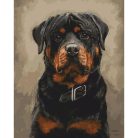  Rottweiler - számfestő készlet - ajandekpont.hu