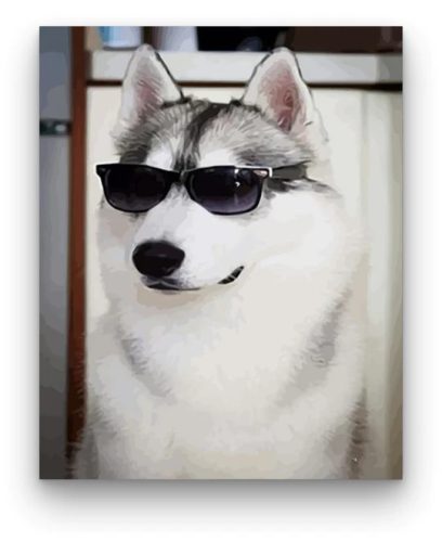  Kutya napszemüvegben - számfestő készlet - ajandekpont.hu