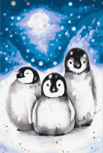 Pingvin Testvérek - számfestő készlet - ajandekpont.hu