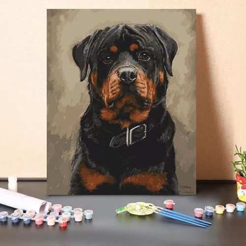 Rottweiler - számfestő készlet - ajandekpont.hu