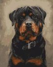 Rottweiler - számfestő készlet - ajandekpont.hu