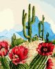 Sivatagi Kaktusz  - számfestő készlet - ajandekpont.hu