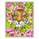  Tigris virágban - számfestő készlet