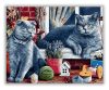  Szürke macskák - számfestő készlet
