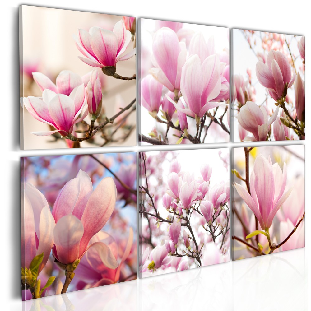 Kép - Southern magnolias