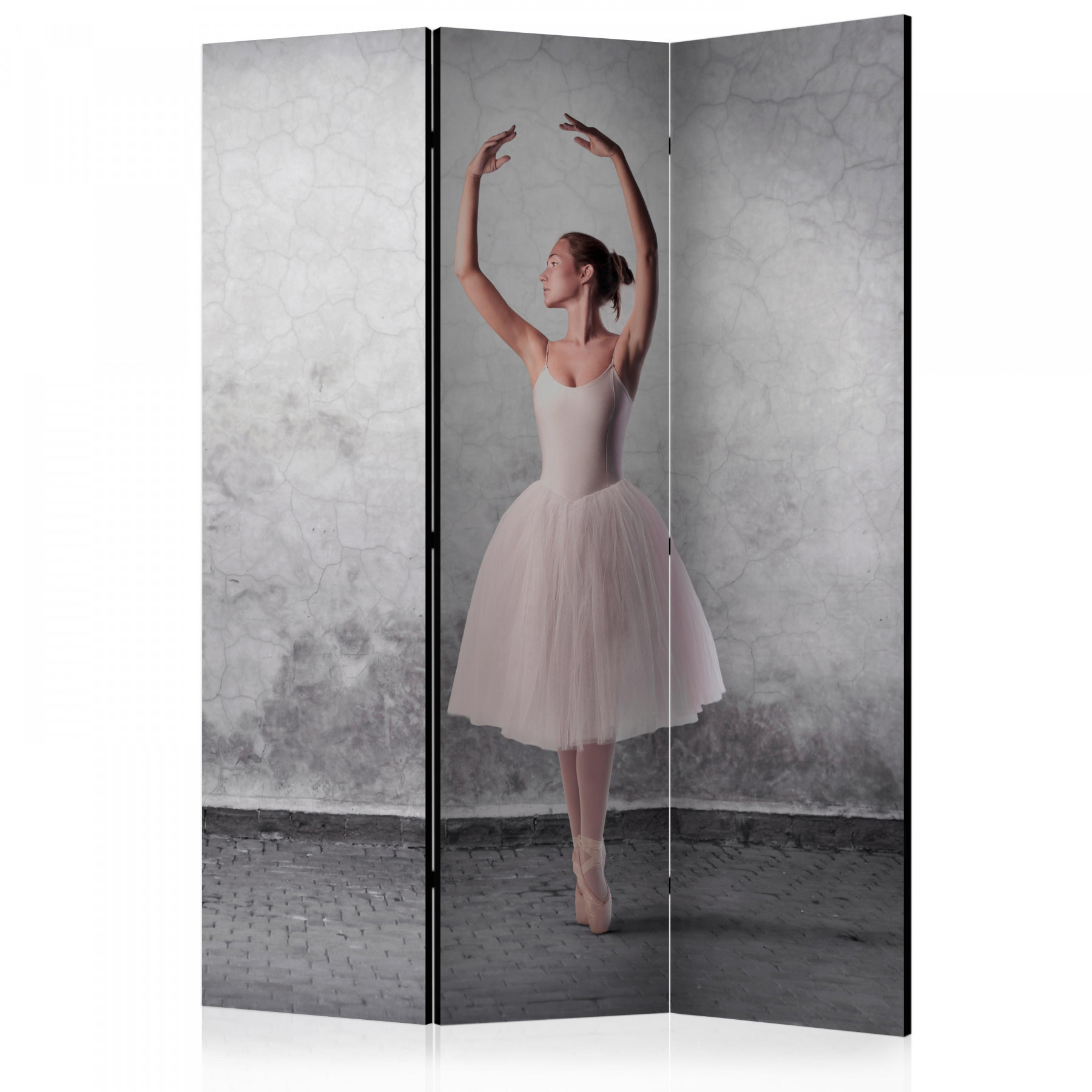Akusztikus paraván - Ballerina in Degas paintings style [Room Dividers]